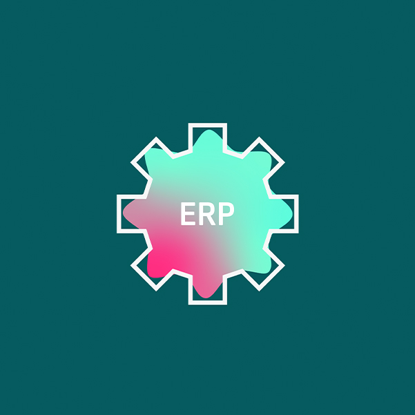 Bespoke ERP Development